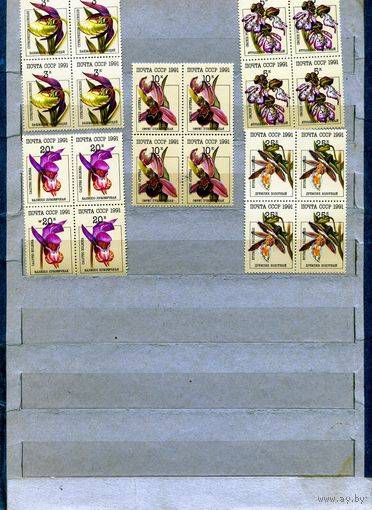 СССР, 1991, ОРХИДЕИ , ** серия 5м К/БЛОК , чистая**