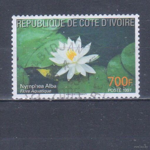 [284] Кот д'Ивуар 1997. Флора.Цветы.Водяная лилия. Концовка серии.Гашеная марка. Кат.гаш.2,8 е.