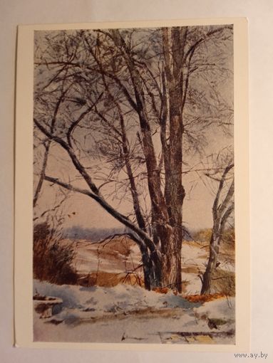 1959. Климашин. Заветная липа
