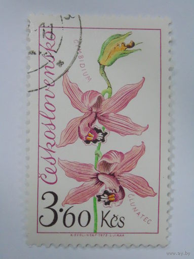 Чехословакия 1973 г. Цветы.
