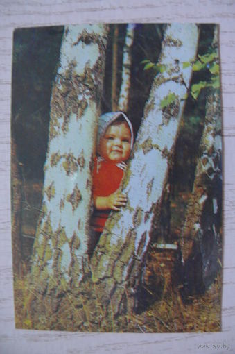 Календарик, 1989, Девочка, березы.