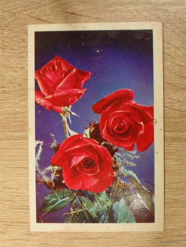 ПОДПИСАННАЯ ОТКРЫТКА СССР. "С ПРАЗДНИКОМ" фото. Г. ГУСЕЙН-ЗАДЕ. 1979 год.
