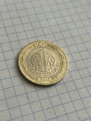 1 лира 2024 года