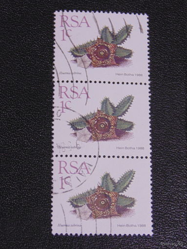 ЮАР 1988 г. Кактус.