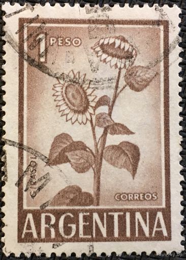 ЦІКАВІЦЬ АБМЕН! 1959, сланечнік (1)