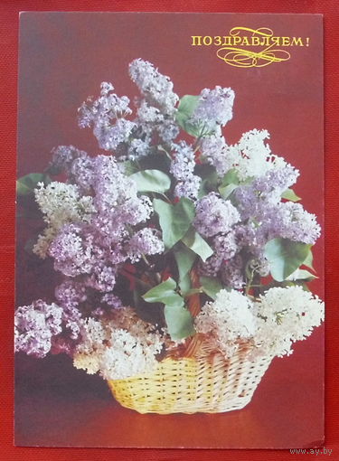 Поздравляем! Чистая. 1992 года. Костенко. 1372.