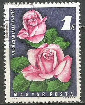 Венгрия. Выставка роз. 1972г. Mi#2768.