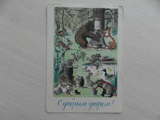Открытка. С добрым утром! Звери в лесу. СССР. Худ.Сутеев В. Г. 1963 г. Чистая.