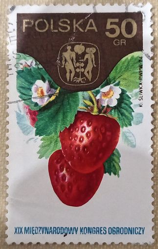Польша 1974. Клубника