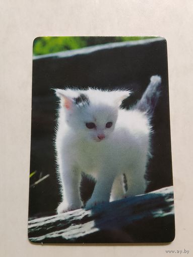 Карманный календарик. Котик. 1998 год