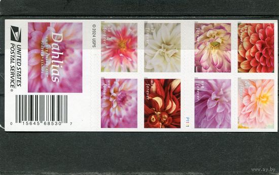 США. Флора. Цветы. Георгины. Буклет с оборотом. 20 марок