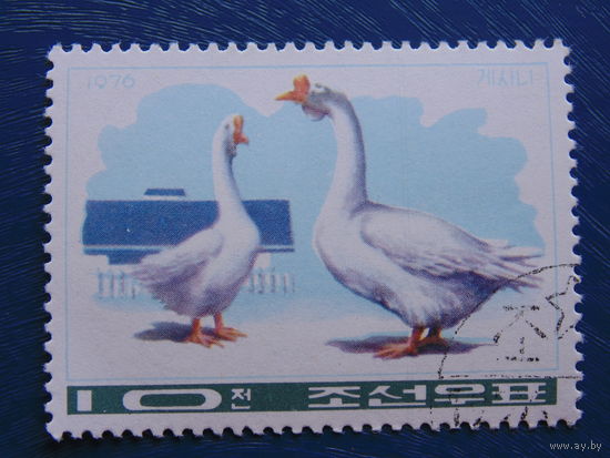 Корея 1976 г. Фауна. Птицы.