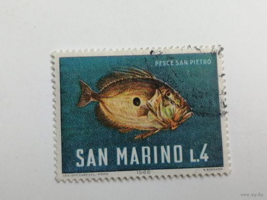 Сан Марино 1966. Морская жизнь