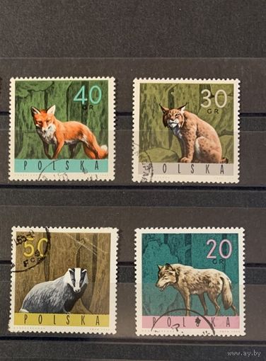 1965 Польша фауна дикие животные 4 м