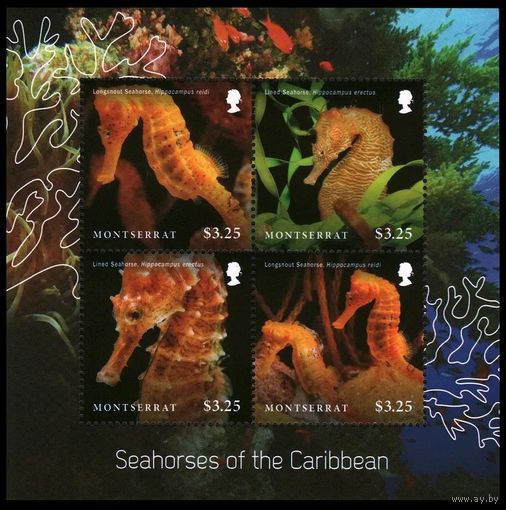 2015 Монтсеррат 1764-1767KL Морская фауна - Морской конёк 12,00 евро