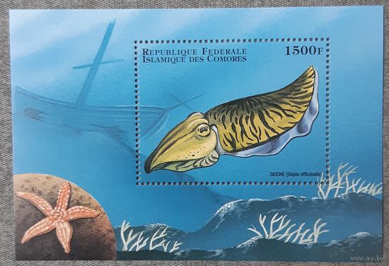 1998 - Морская жизнь - Коморские острова