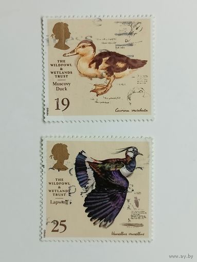 Великобритания 1996. 50 лет Фонду дичи и водно-болотных угодий