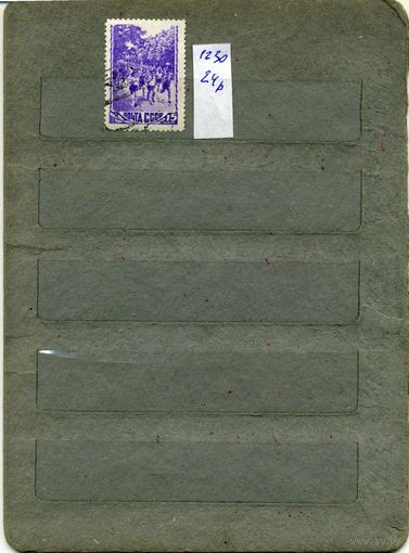 СССР, 1948, СПОРТ ,       1м  гашеная