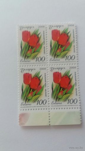РБ 2008 к/б цветы