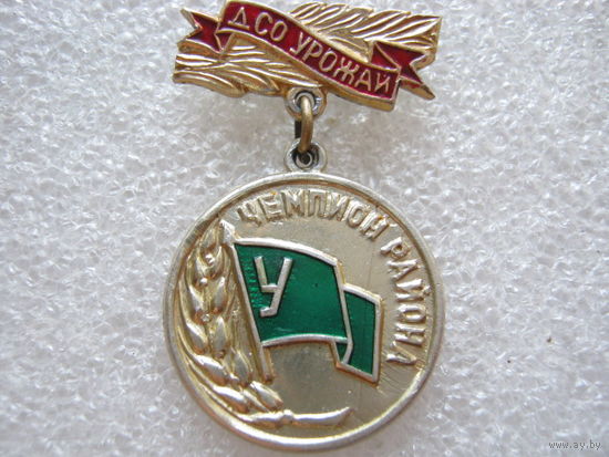 ДСО "Урожай", чемпион района.