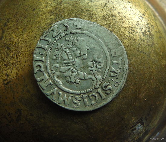Полугрош 1525