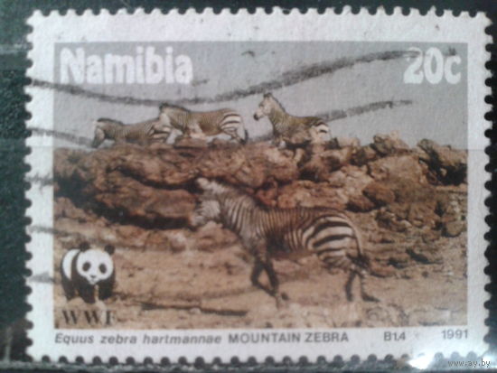 Намибия, 1991. WWF. Горная зебра