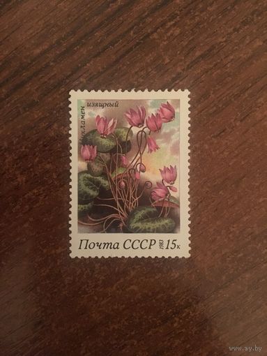 СССР 1983. Цикламен изящный
