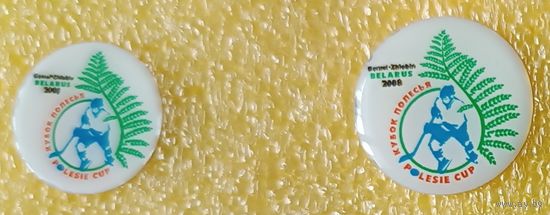 Хоккей Кубок Полесья 2008 Гомель - Жлобин 2 значка
