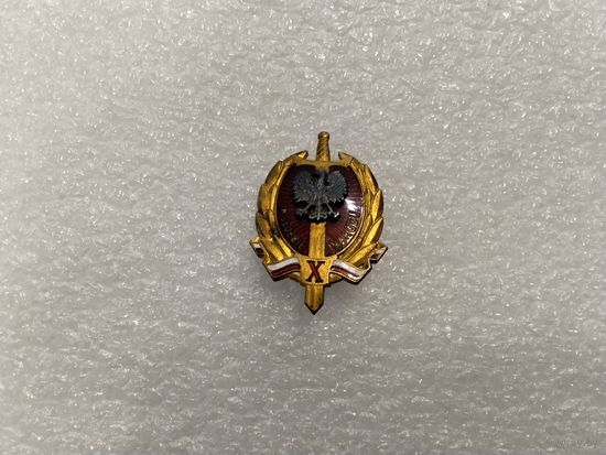 На службе народа Польша