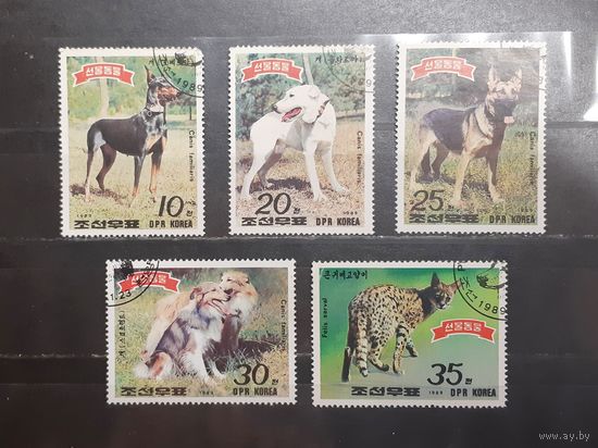 Корея. 1989 год. Фауна. Собаки (1186)