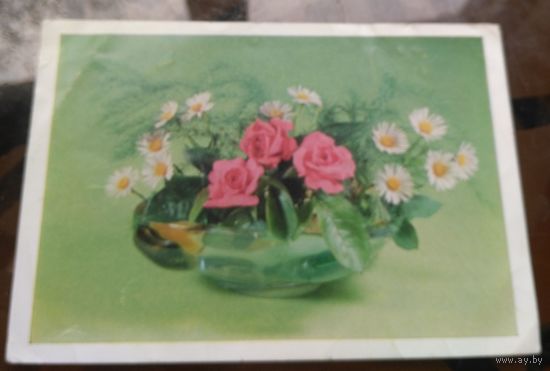 1979 год Ю.Круцко Цветы