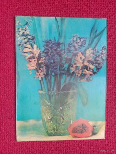 Цветы. Стереофото. Осипова.