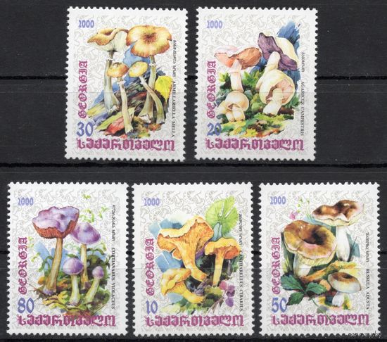 Грузия 2000. Грибы 5 марок (74)
