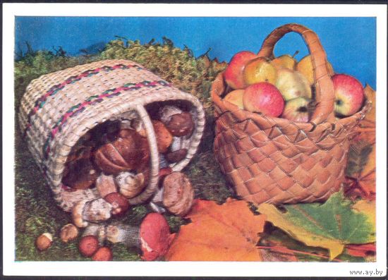 СССР ДМПК 1980 Грибы корзина яблоки