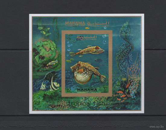 Манама 1971** Морская Фауна Тропические Рыбы Блок без зубцов