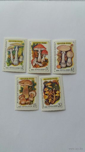 Ссср 1986 5м грибы
