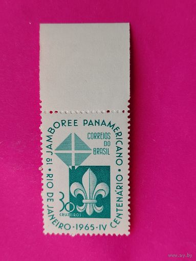 Бразилия. Слёт скаутов. ( 1 марка ) 1965 года. 2-15.
