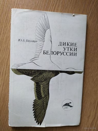 Дикие утки Белоруссии\016