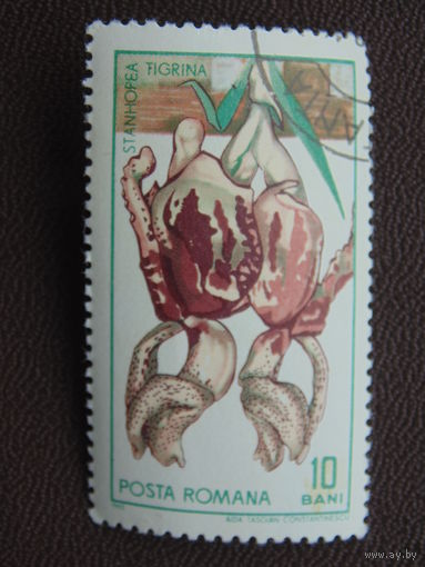 Румыния 1965 г. Цветы.