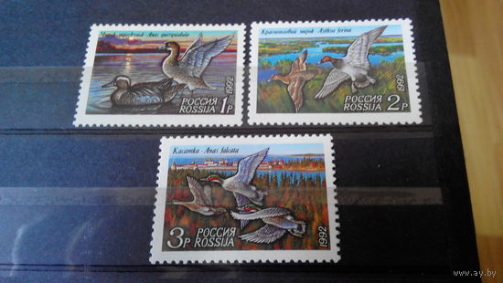 Марки, Россия 1992 фауна птицы утки