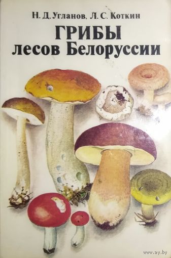 ГРИБЫ ЛЕСОВ БЕЛОРУССИИ