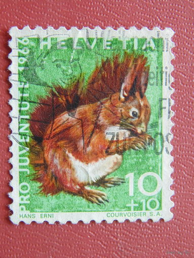 Швейцария. 1966 г. Фауна.