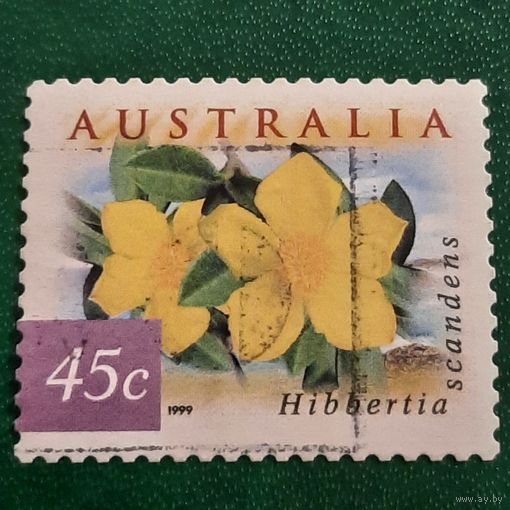 Австралия 1999. Флора. Hibbertia Scandens