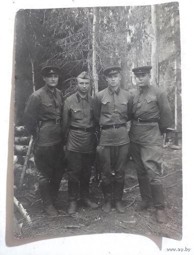 Фото в коллекцию