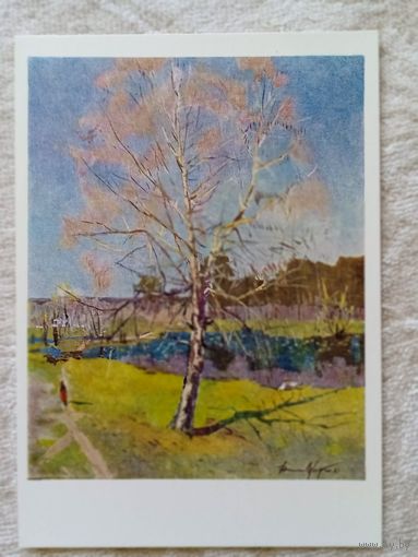 Цвирко (Беларусь). Юный май