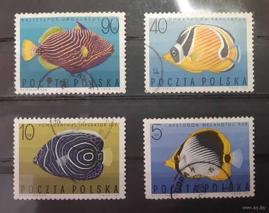 Польша. 1967 год. Фауна. Рыбы