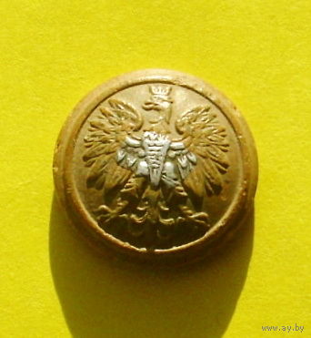 Польская пуговица. 162-я.