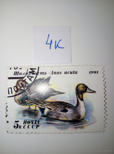 Марки СССР 1991 г. Шилохвость 5к.