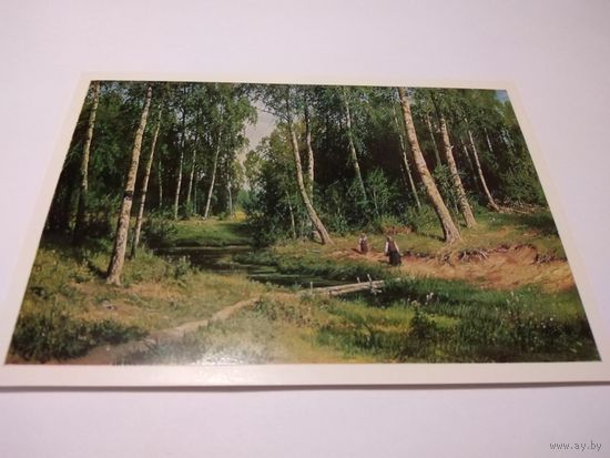Открытка. И. И. Шишкин. Ручей в березовом лесу.