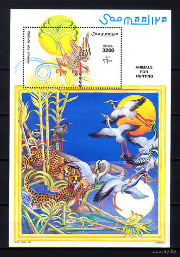 1999 Сомали. Охота